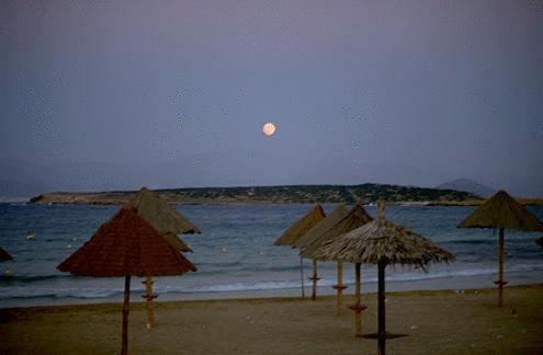 Surfing Beach Huts Santa Maria (Paros) Exterior foto
