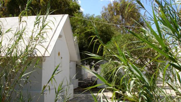 Surfing Beach Huts Santa Maria (Paros) Exterior foto